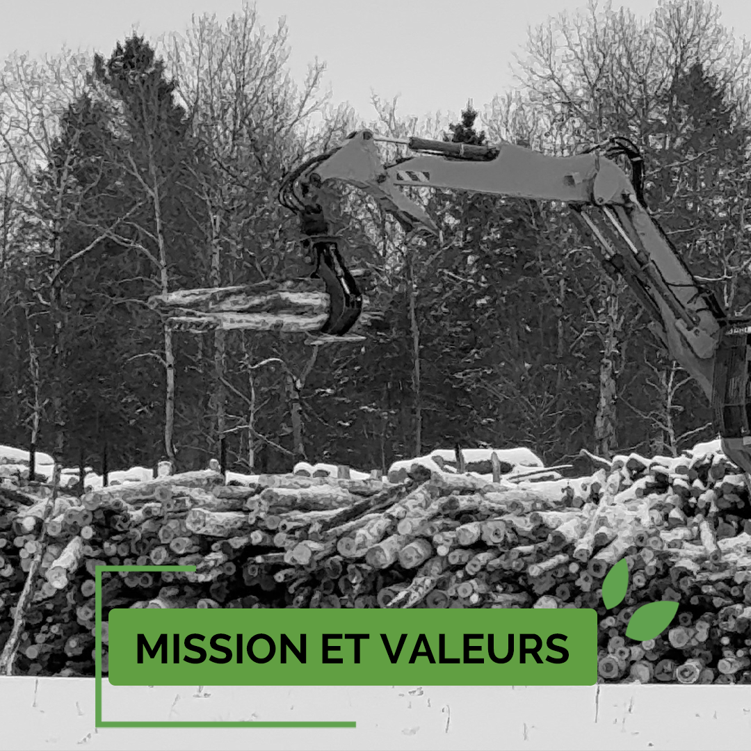 Xylo-Carbone charbonnerie