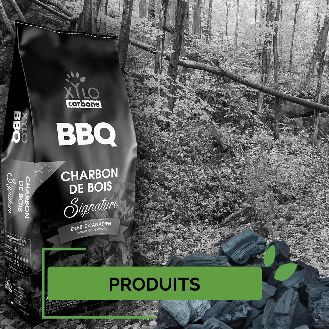 Xylo-Carbone charbonnerie